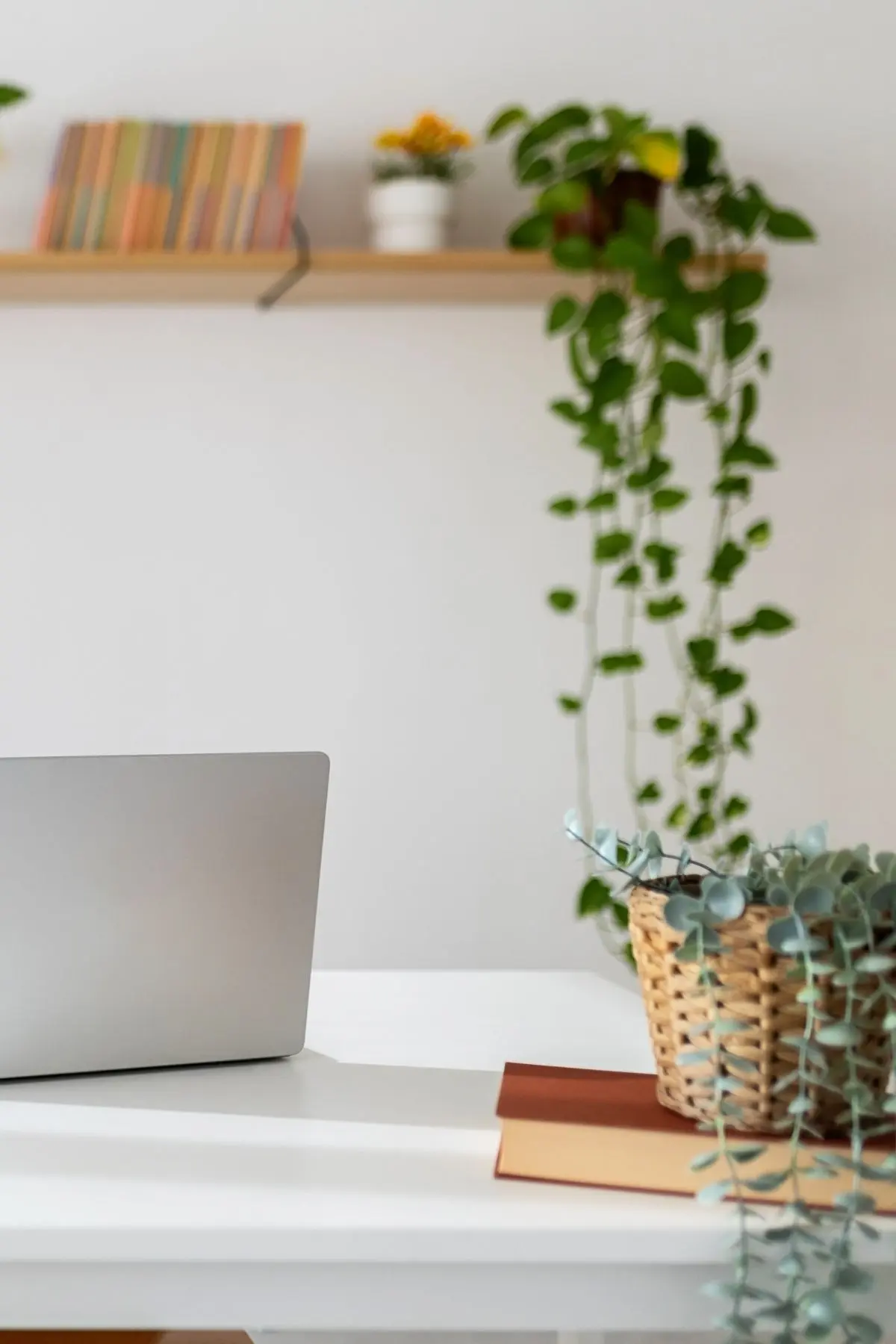 A dietitian's desk with a laptop and plants, where she holds virtual masterminds for other eating disorder dietitians