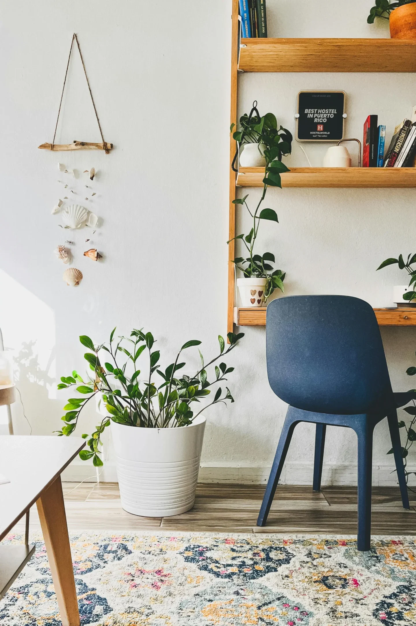 Blue chair in an office with greenery where a dietitian provides clinical supervision to eating disorder dietitians